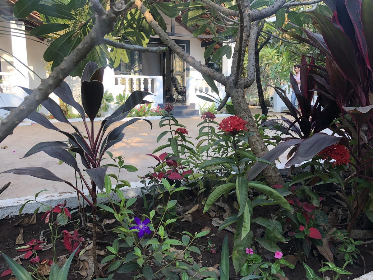 God'S Gift Morjim Hotel Bagian luar foto